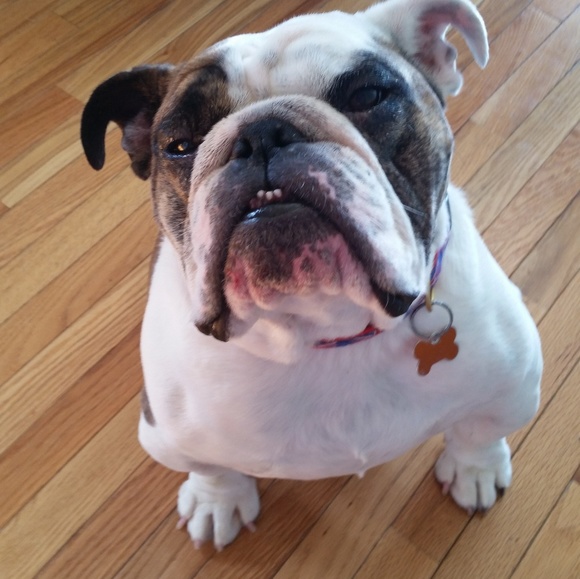 Meet your Posher, Nancee - Picture 1 of 1